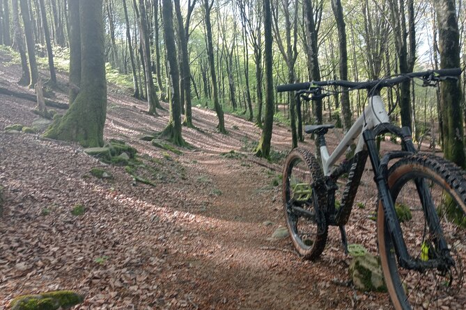 Mountain Bike Small Group Tour in San Sebastian - Your Route in Plain English: Donostia to Pasaia to Monte Ulia