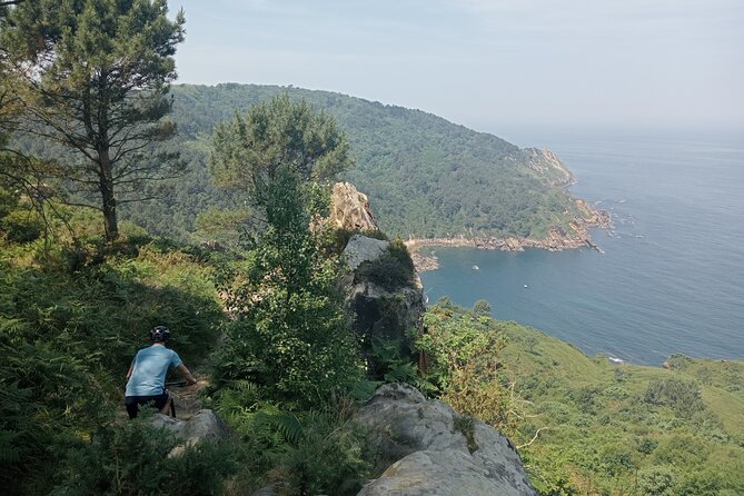 Mountain Bike Small Group Tour in San Sebastian - Price and What You Get for $106.04