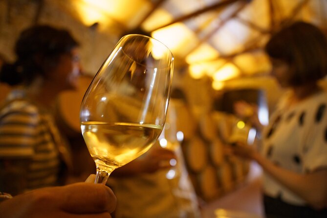 Premium Small Group Rioja Uncorked Tour from San Sebastian - From San Sebastián to Laguardia’s Almond-Shaped Old Town