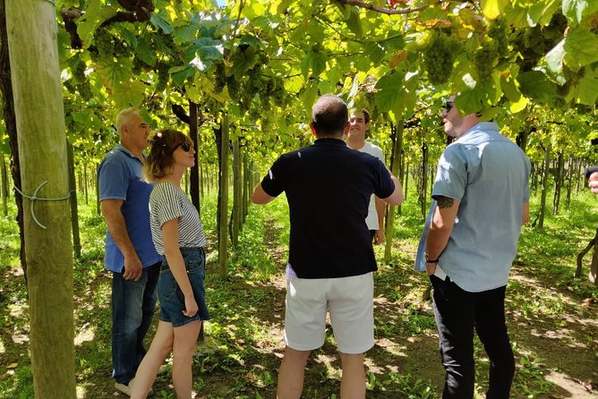 Private Basque Cheese & Txakoli Wine Tour from San Sebastian - Stop 3: Getaria by the Port—Short Walk, Charcoal-Grilled Fish Lunch