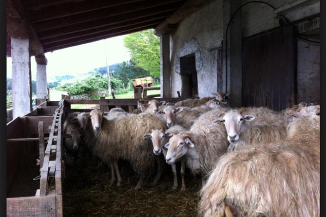Private Basque Cheese & Txakoli Wine Tour from San Sebastian - The Scenic Return: Winding Basque Roads Back Toward San Sebastián