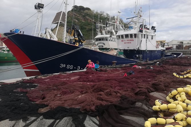 Private Cliffs, Grilled Fish & Txakoli Wine Experience - Zumaia’s UNESCO flysch cliffs: where rock strata read like a history page
