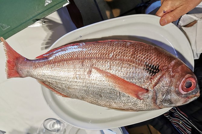 Private Cliffs, Grilled Fish & Txakoli Wine Experience - Lunch by the port: charcoal-grilled fish and the txakoli you just tasted