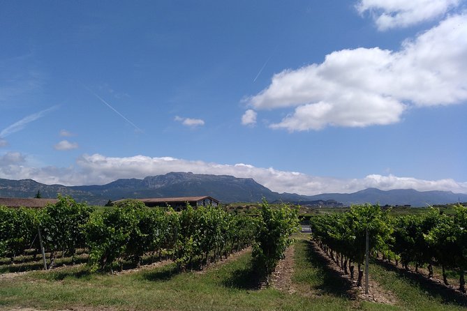 Private Day in Rioja from San Sebastian - Stop 5: Labastida lunch with two-sister restaurant energy