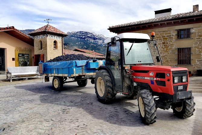 Private Day in Rioja from San Sebastian - What you’re really paying for: value beyond the wine list