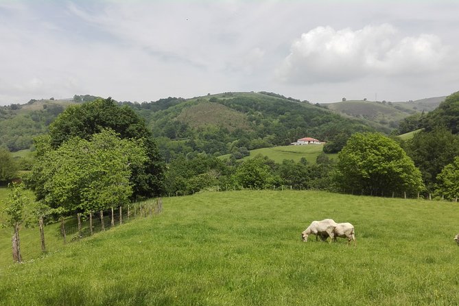 Private French Basque Countryside & Villages from San Sebastian - Stop 4: Ainhoa, Indianos houses, and the church-and-cemetery layout