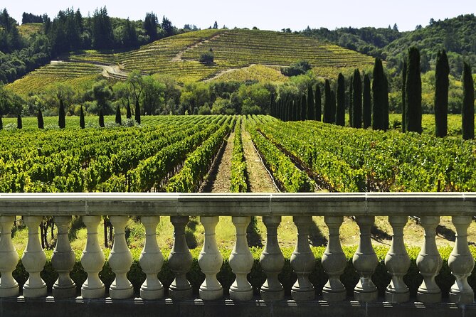 Private Half Day Txakoli Wine Tour & Getaria Fishing Village - Key highlights (what makes this tour worth your time)