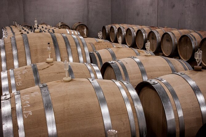 Private Half Day Txakoli Wine Tour & Getaria Fishing Village - A half-day that actually fits your schedule