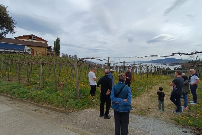 Private Half Day Txakoli Wine Tour & Getaria Fishing Village - Walking Getaria: medieval streets, fisherman-house charm