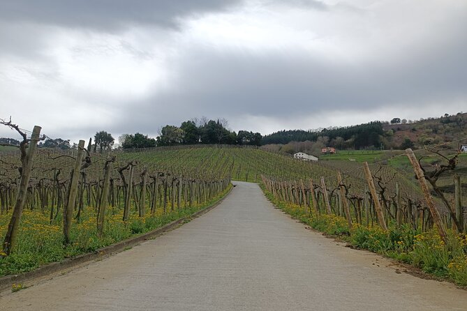 Private Half Day Txakoli Wine Tour & Getaria Fishing Village - The Txakoli winery visit: guided tasting with real local pairings