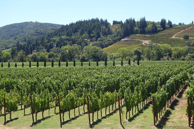 Private Half Day Txakoli Wine Tour & Getaria Fishing Village - Why the guide makes the whole day feel better