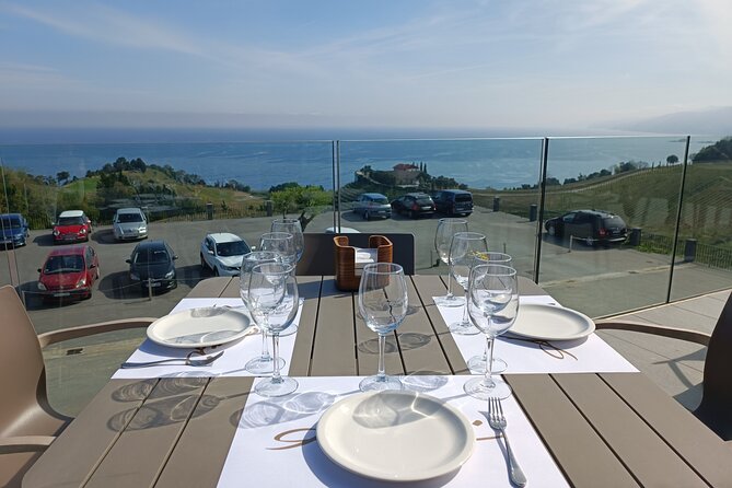 Private Half Day Txakoli Wine Tour & Getaria Fishing Village - Transportation and comfort: private, smooth, and low-effort