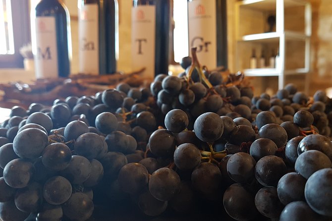 Private Rioja Wine Tasting Tour from San Sebastian - Stop 4: Laguardia’s Medieval Streets and a Light Lunch