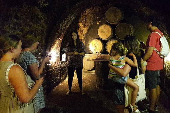 Private Rioja wine tasting tour with local lunch - La Rioja: two wineries, architecture, bites, and a real sense of place
