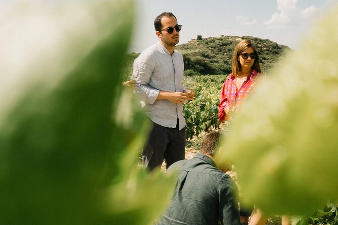 Private Rioja Wine Tour of Vines and Wines in Spain - Key highlights worth planning for