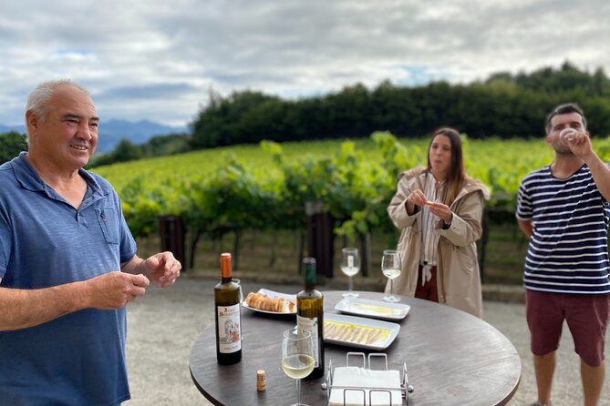 Private Tour at a Family Winery and Basque Coast Route - How the route works in a tight 5-hour window
