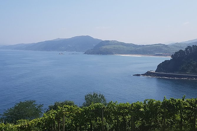 Private Txakoli Wine Tour through the Coast from San Sebastian - What’s Included (and What Isn’t) So You Don’t Get Surprised