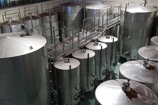Private Txakoli Wine Tour through the Coast from San Sebastian - Price and Value: Is $303.14 Per Person Worth It?