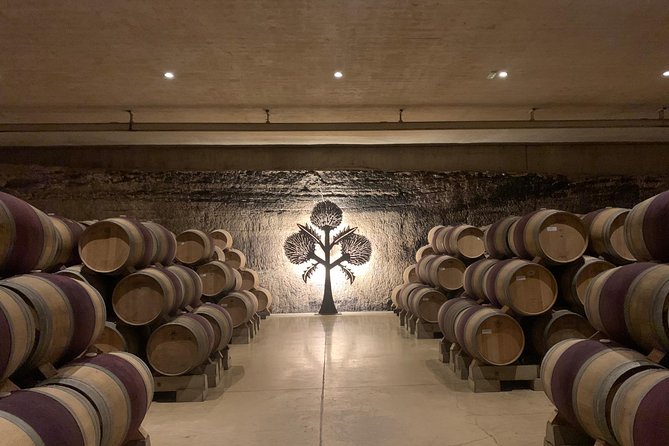 Rioja Alavesa Wineries and Medieval Villages Day Trip - Key highlights you’ll care about