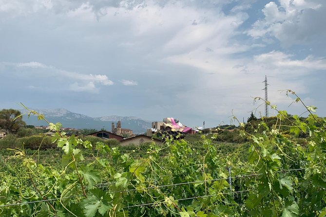 Rioja Alavesa Wineries and Medieval Villages Day Trip - Spanish tapas, ham, chorizo, and cheese: what you’ll actually eat