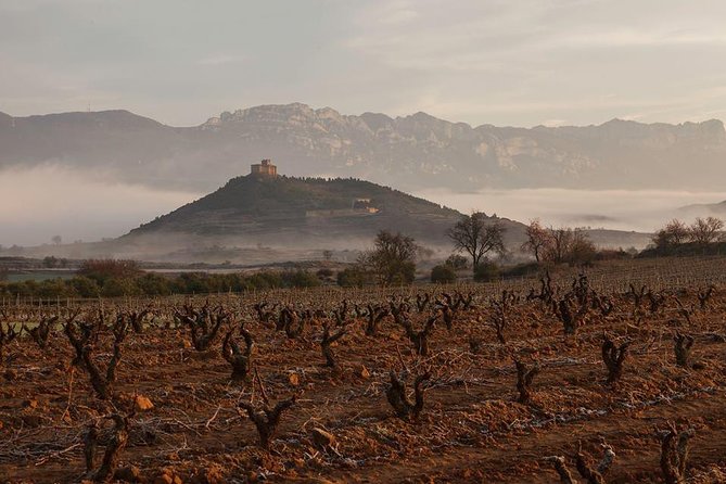Rioja Alavesa Wineries and Medieval Villages Day Trip - Price and value: what $270.32 per person really means