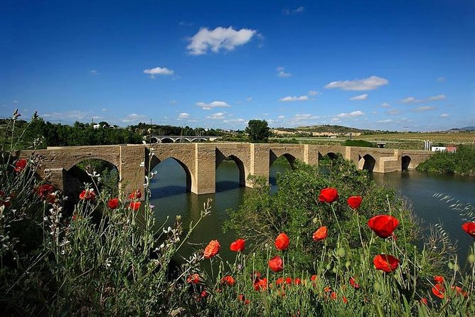 Rioja Alavesa Wineries and Medieval Villages Day Trip - Timing, pickup, and what to plan for during the 9-hour day