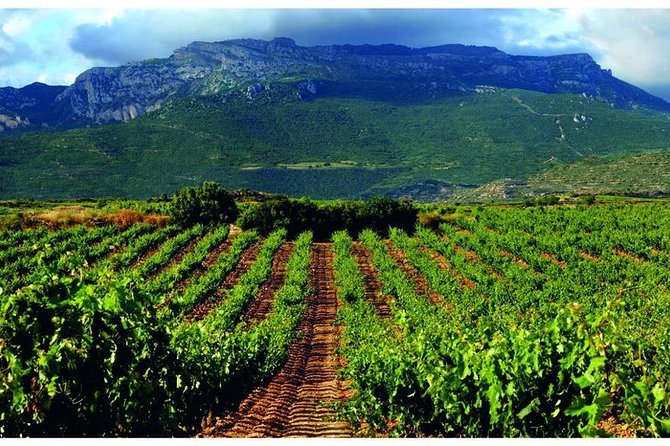 Rioja Alavesa Wineries and Medieval Villages Day Trip - Your private Rioja driver Alex: the difference between tasting and learning