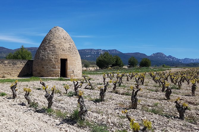 Rioja Full Experience Tour from San Sebastian with Lunch - Rioja lunch with wine pairing: the included meal you should plan around