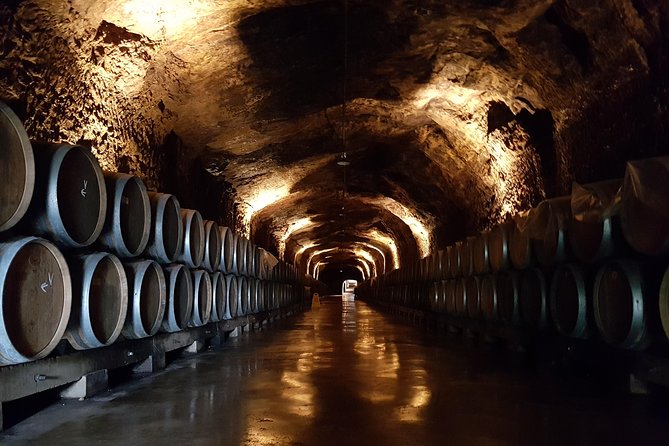 Rioja Full Experience Tour from San Sebastian with Lunch - Winery stop #1: a classical tour paired with a guided tasting