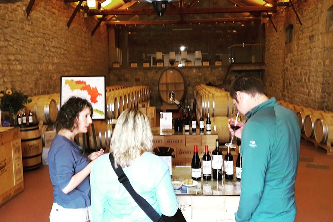 Rioja's Top wines tasting private tour - La Rioja boutique wineries: where the tastings turn personal