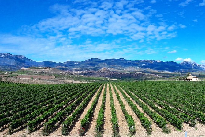 Rioja's Top wines tasting private tour - Lunch, snacks, and the pace that keeps wine enjoyable