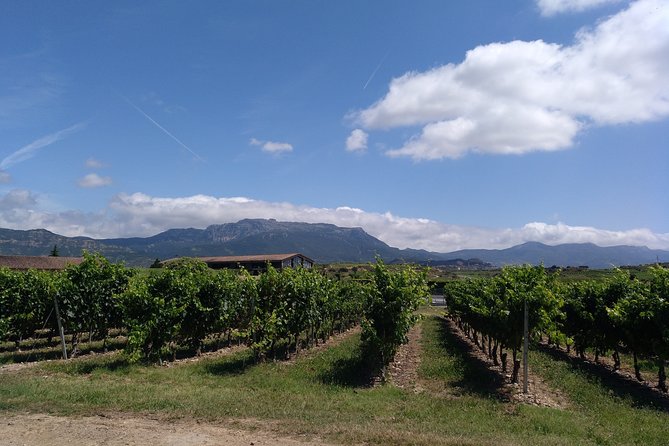 Rioja Uncorked: Private Wine Experience from San Sebastián - Samaniego: A Family-Run Winery Stop at Human Scale
