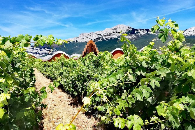 Rioja Uncorked: Private Wine Experience from San Sebastián - Labastida: Independent Projects Plus Time to Walk