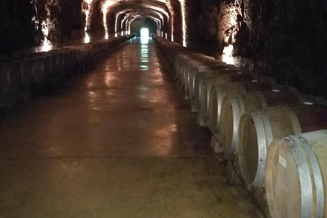 Rioja Wine Private Tour from San Sebastian - A Private Rioja Day Trips that Starts at Your Door in San Sebastián