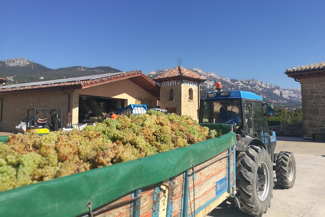 Rioja Wine Private Tour from San Sebastian - Winery Stop 3: Bodegas Luis Cañas and the 3-Choice Red or White Tasting