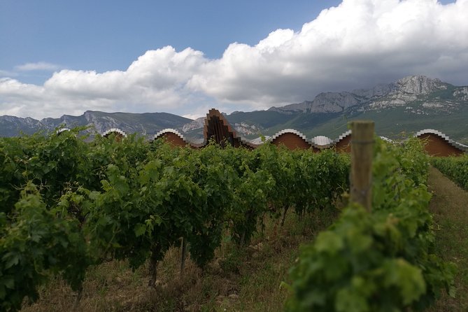 Rioja Wine Private Tour from San Sebastian - Lunch Break in La Guardia and the Town-Stop Bonus