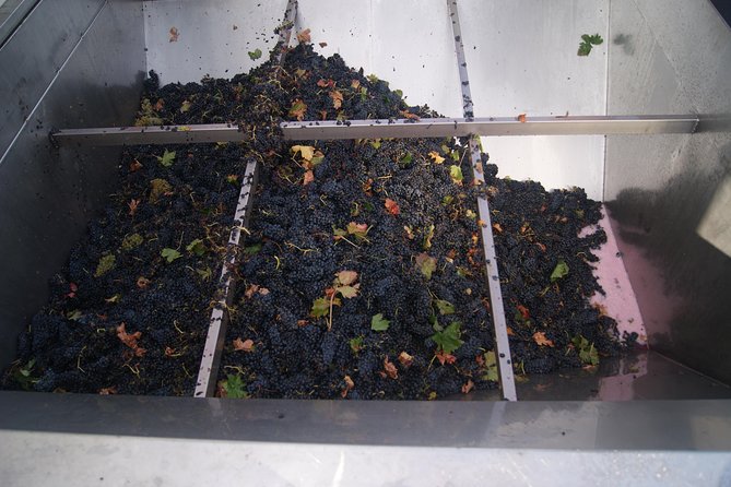 Rioja Wine Tour: Winery, Tasting & Lunch from San Sebastian - Price and Value: Is $300.37 Reasonable for a Full Day?