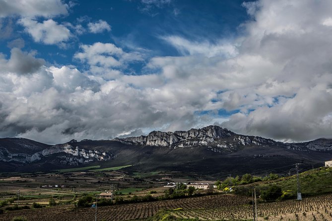 Rioja Wine Tour: Winery, Tasting & Lunch from San Sebastian - Small Group Energy: You’ll Get Attention Without the Chaos