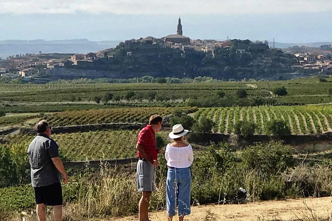 Rioja Wineries and Laguardia Tour with Picnic from San Sebastian - A 8:15am Rioja Wake-Up From San Sebastian