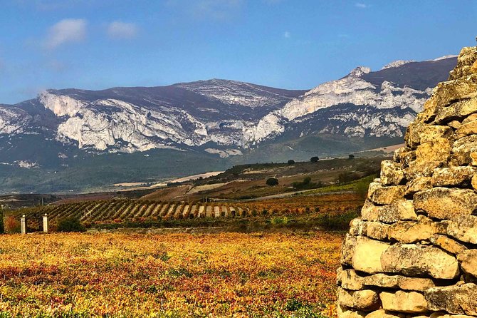 Rioja Wineries and Laguardia Tour with Picnic from San Sebastian - Price, Included Tastings, and Whether It’s Good Value