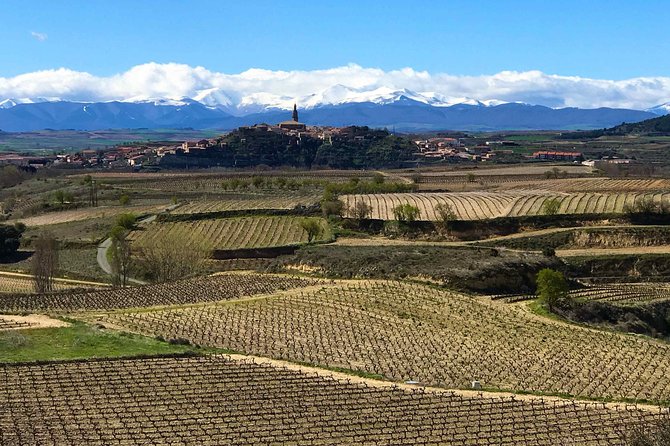 Rioja Wineries and Laguardia Tour with Picnic from San Sebastian - Ysios and Marques de Riscal: Modern Architecture Meets Photo Stops