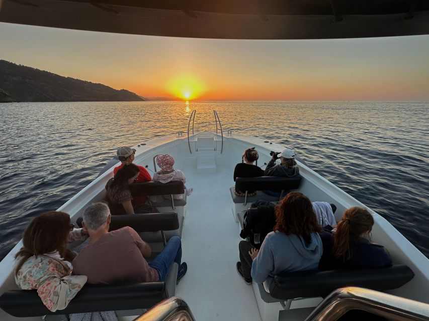 San Sebastian: 2 Bays Evening or Sunset Boat Tour with Cava - What Makes This Tour Worth Your Time