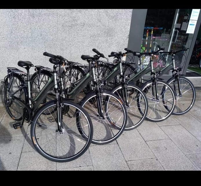 San Sebastian: Bike tour with FREE snack & drink! - Key points before you pedal