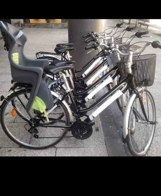 San Sebastian: Bike tour with FREE snack & drink! - Real Sociedad stadium area: Reale Arena without the sports-only vibe