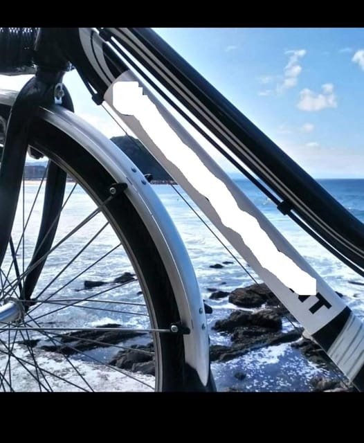 San Sebastian: Bike tour with FREE snack & drink! - La Concha and Ondarreta: the classic shoreline you reach by bike path