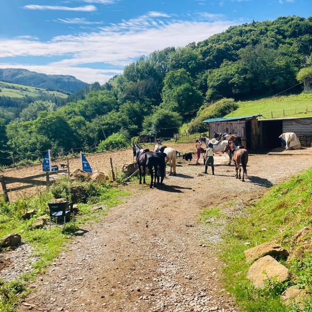 San Sebastian: Horseback Riding & Traditional Delights - The ride drive: getting from city streets to Peñas de Aya fast