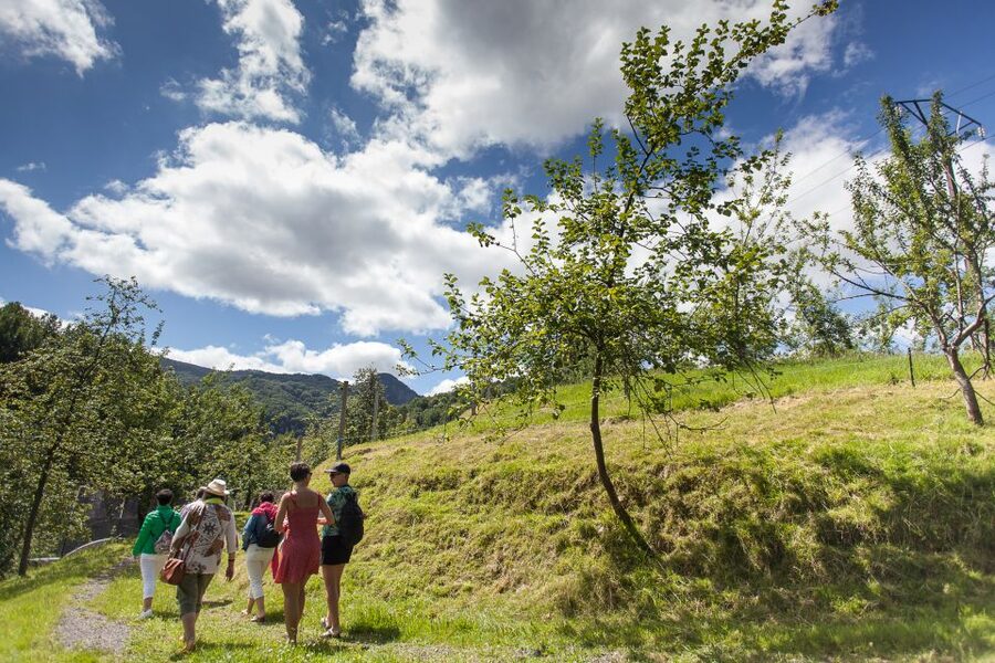 San Sebastián: Traditional Cider House Tour with Lunch - Getting out of San Sebastián without stress: meeting point and timing