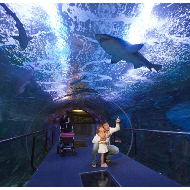San Sebastian walking tour and aquarium - What the timing really means for your day