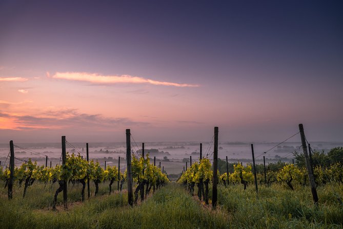 The Real Rioja Explore Tour - Private experience - Lunch With a View: A Proper Three-Course Meal in a Medieval Setting