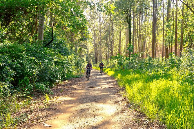 The Train Track Trail Mountain Bike Ride - Private experience - Worth knowing before you pedal